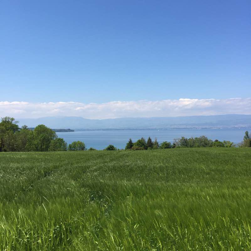 Forest path walking route map in Margencel
