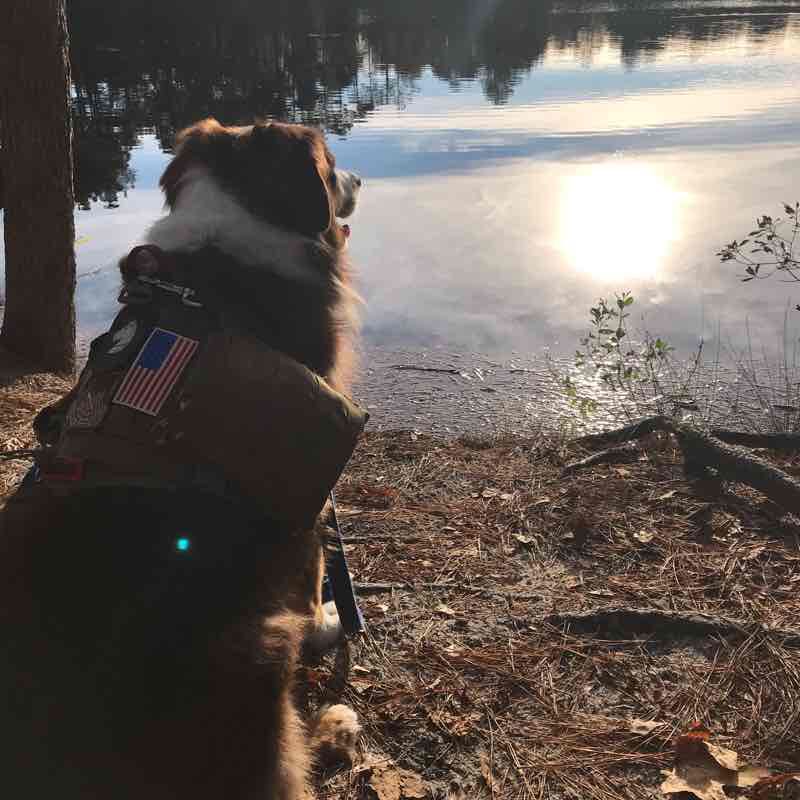 First Landing Walk Trail Virginia Beach, Virginia, USA Pacer