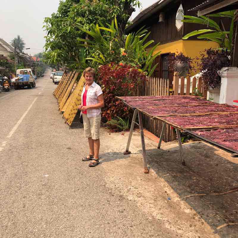 Luang Prabang Laos walking route map in Luang Prabang