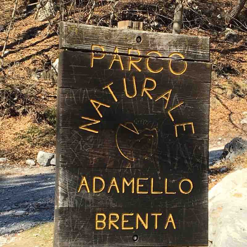 Passeggiata lago di Molveno