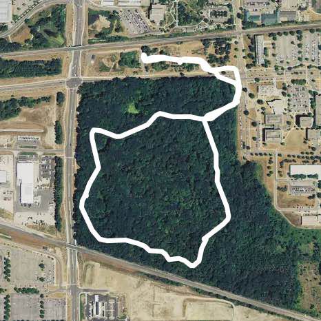Baker wood lot at MSU campus walking route map in Okemos