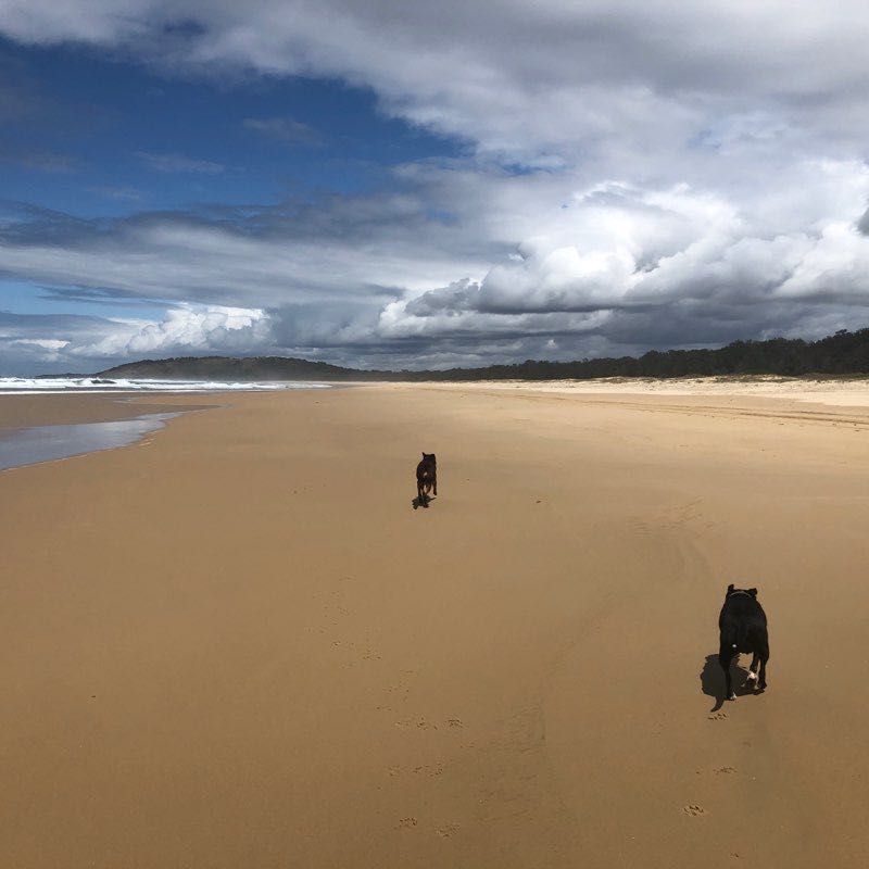 Murrays to Boambee Beach walking route map in Sawtell