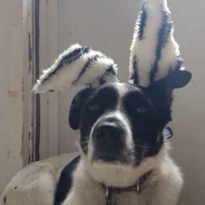 strawberryGirl post 1