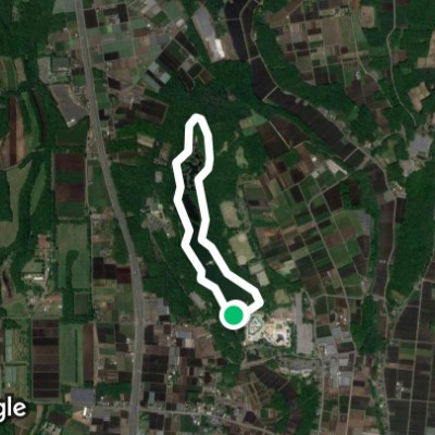 井頭公園内周