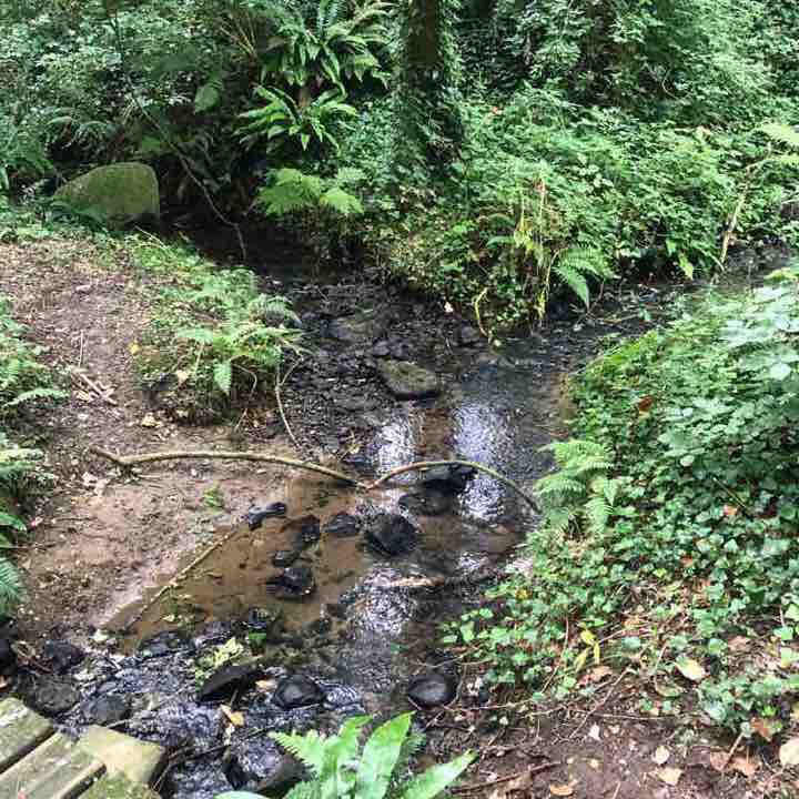 The spine in Ploufragan walking route map in Ploufragan