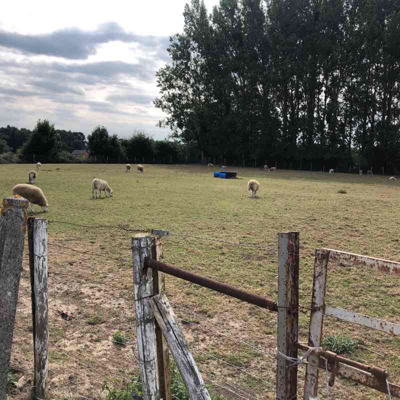 Chemin des sabotiers walking route map in Mecquignies