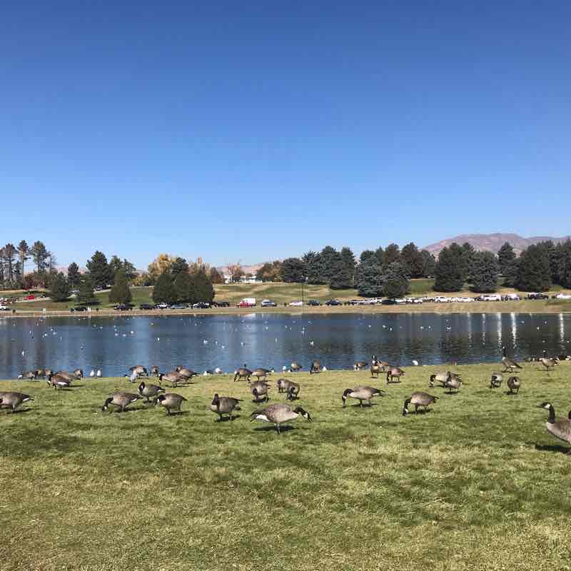 Sugarhouse park