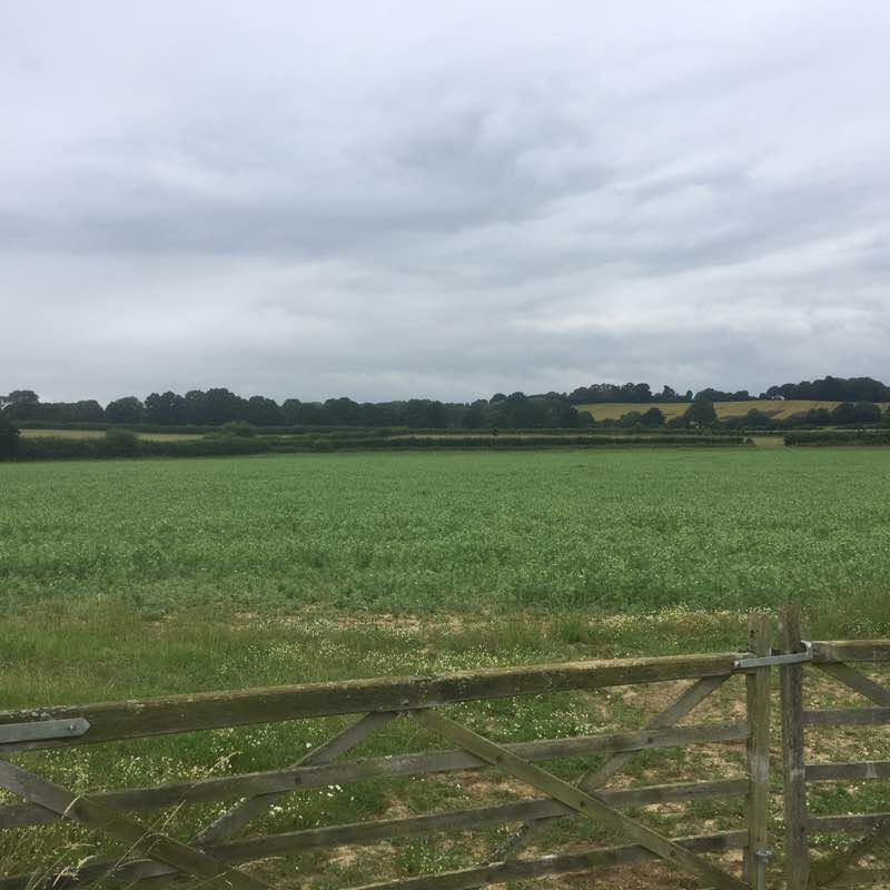 Sissinghurst Castle walking route map in Biddenden