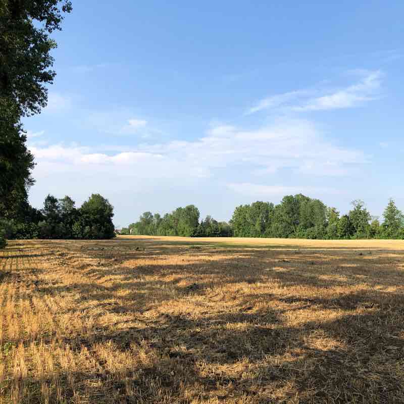 Walk in the fields walking route map in Luneo