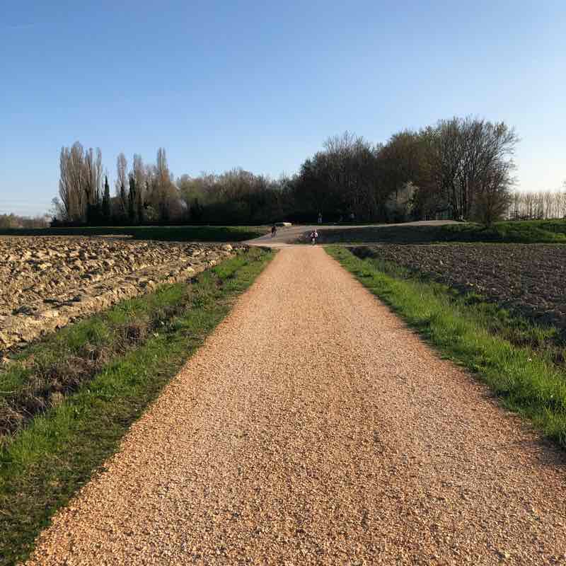 Walk in Mogliano walking route map in Boschetta