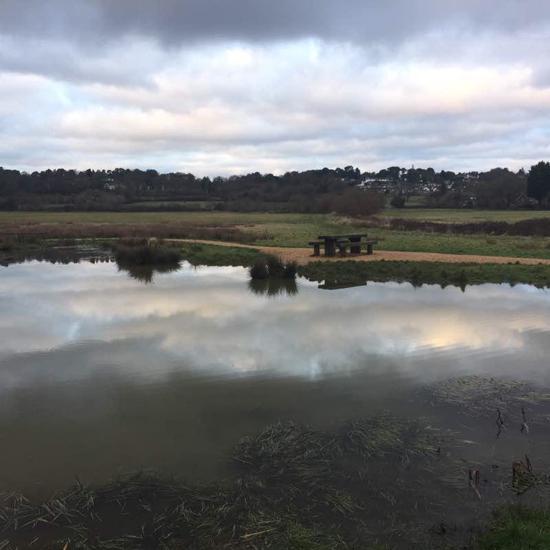From By the way field to Wimbourne Walk Trail Colehill, Wimborne