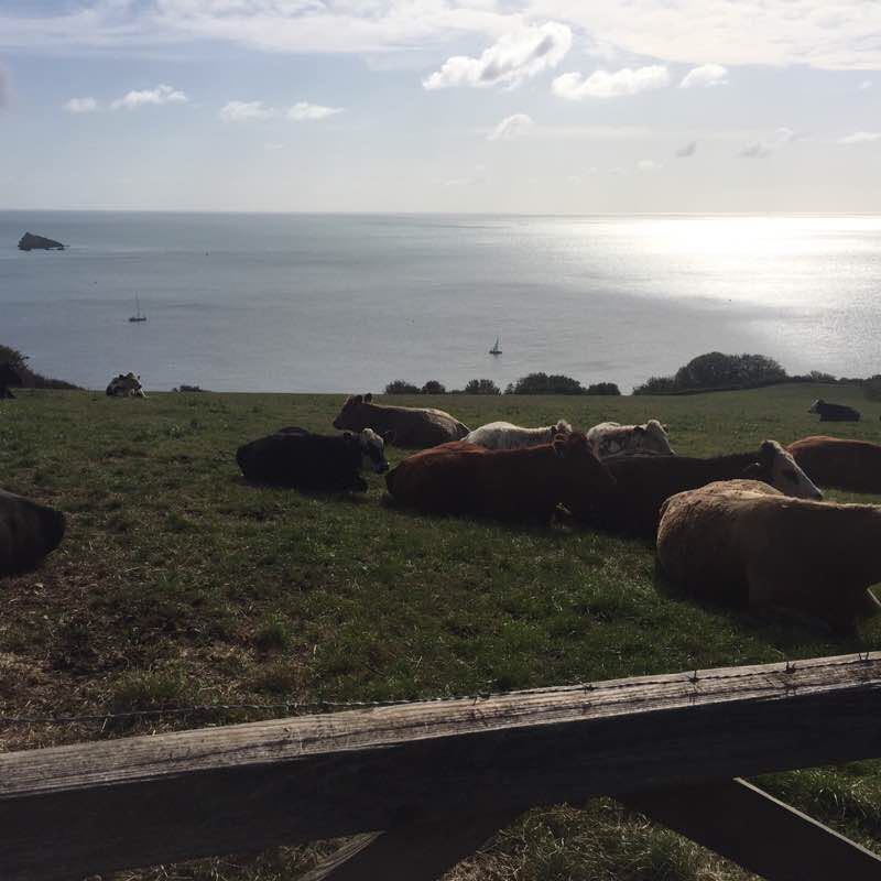 Sea views