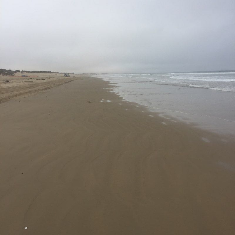 Grover Pier to Oceano Pier Walk Trail Grover Beach, California, USA Pacer