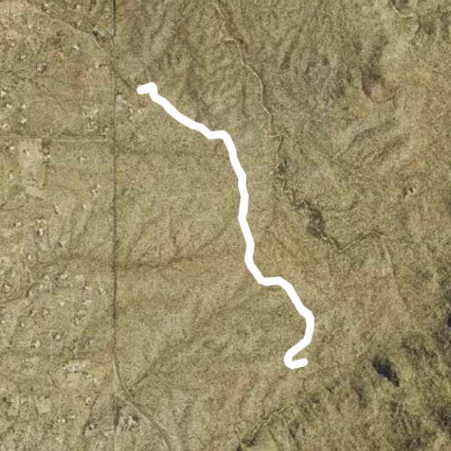 Saguaro National Park East