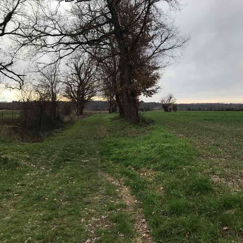 The chickens walking route map in Saint-Etienne-de-Tulmont