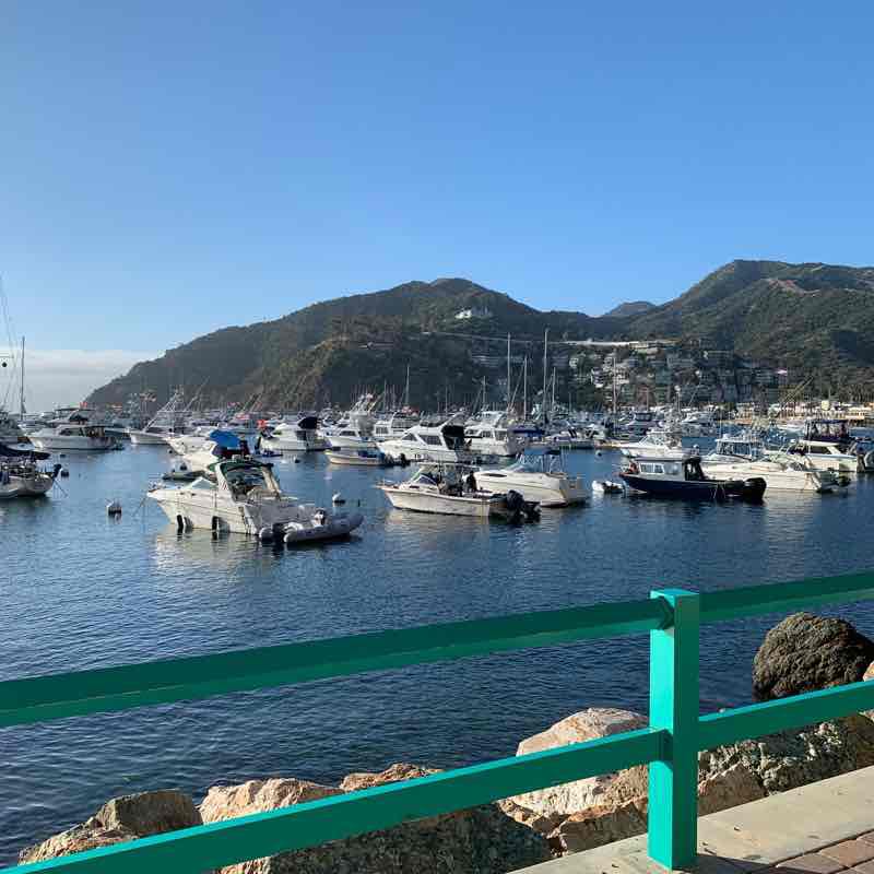 Walk and swim Catalina  walking route map in Avalon