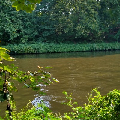 schmidtkatja14 post 2