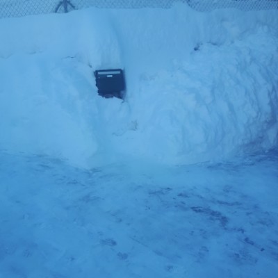 Power Walkers alfan post image