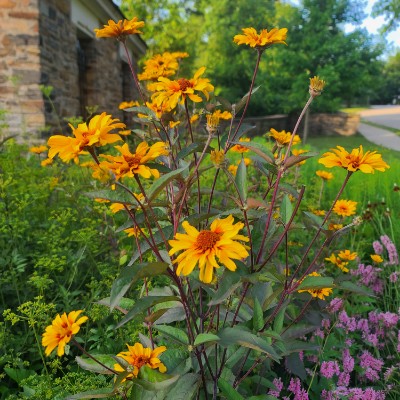 Matt S🏃‍♂️🏃‍♂️🏃‍♂️⏪🚶‍♂️ post 3