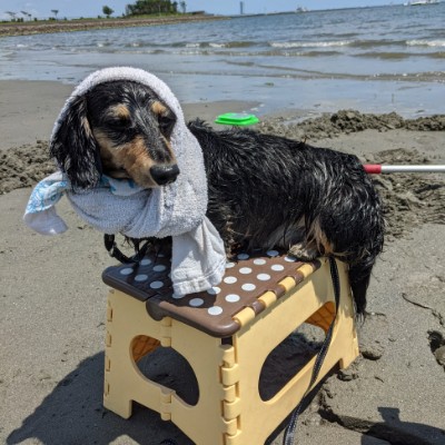 ことりや鳥天 post 1