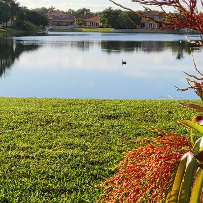 Ellie 2.0 🇬🇧🇯🇲🇺🇸 post 2