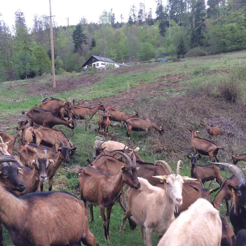 Blast furnace walking route map in La Broque