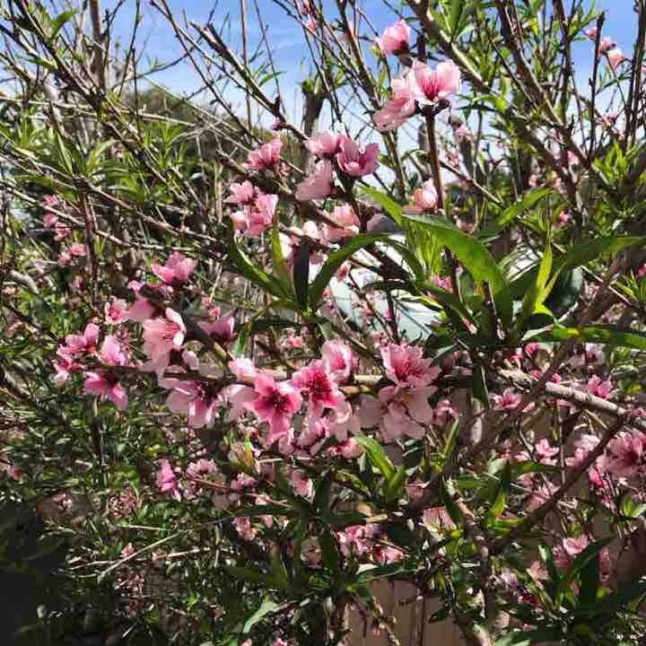 Hillcrest Bank 🏦 Walk