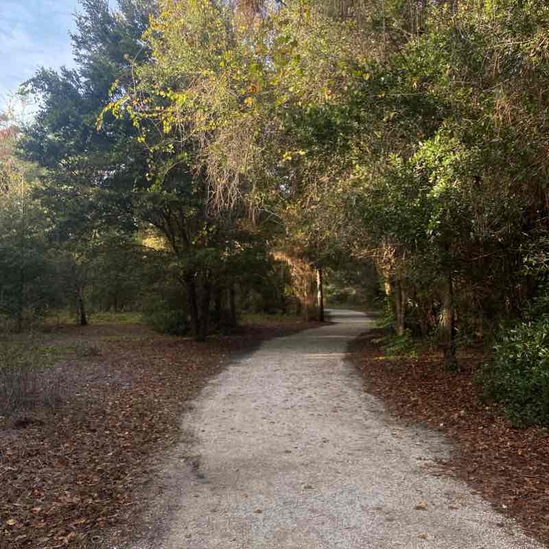 Eagle lake park 1 mile walk walking route map in Clearwater