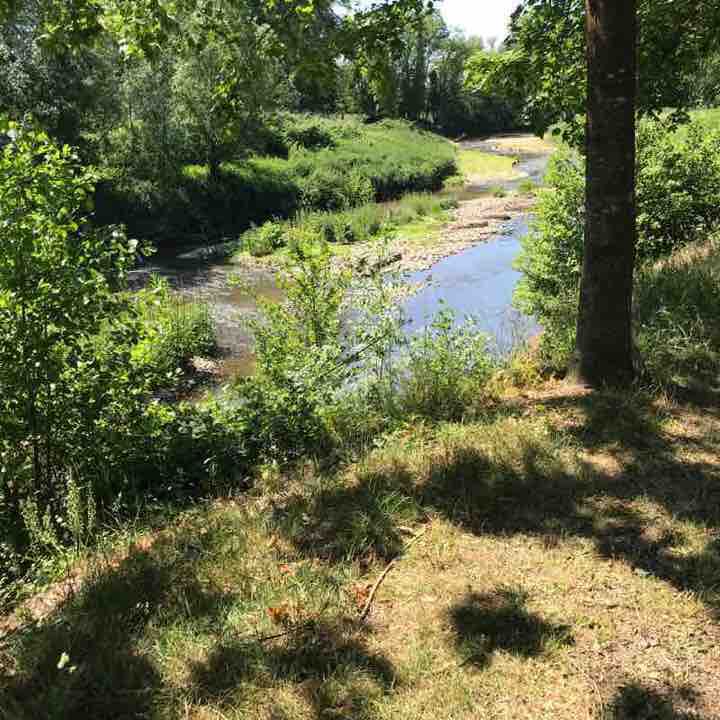 Edge of Saone walking route map in Saint-Didier-sur-Chalaronne