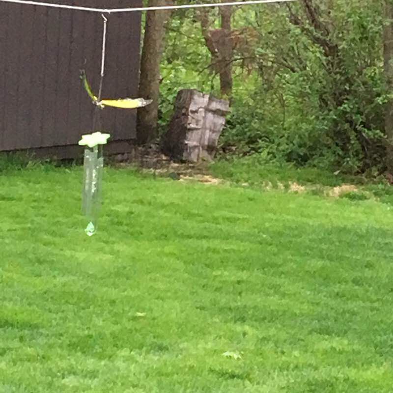 Lannon to moorland walking route map in Muskego