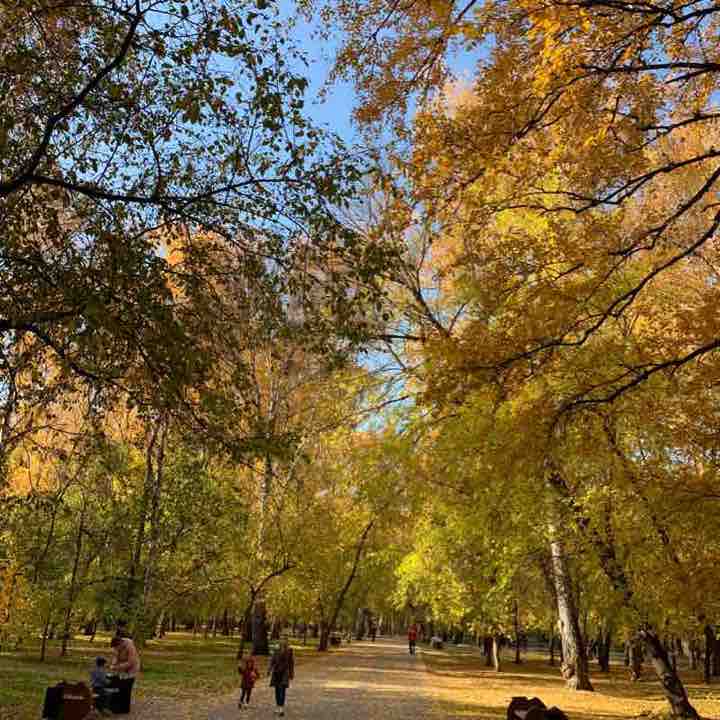 Ходить в Новосибирск, Новосибирская область, Россия