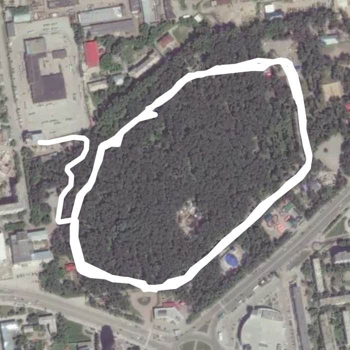 парк березовый