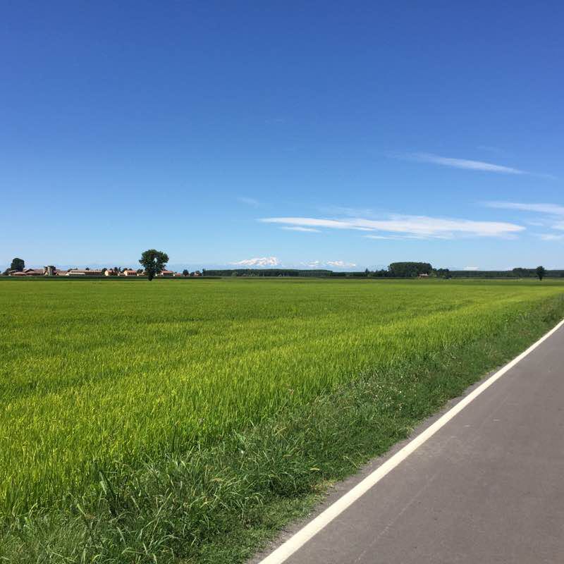 The path of the Naviglio di Bereguardo walking route map in Trivolzio