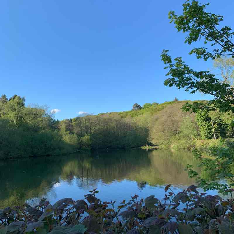 Moddershall Lake