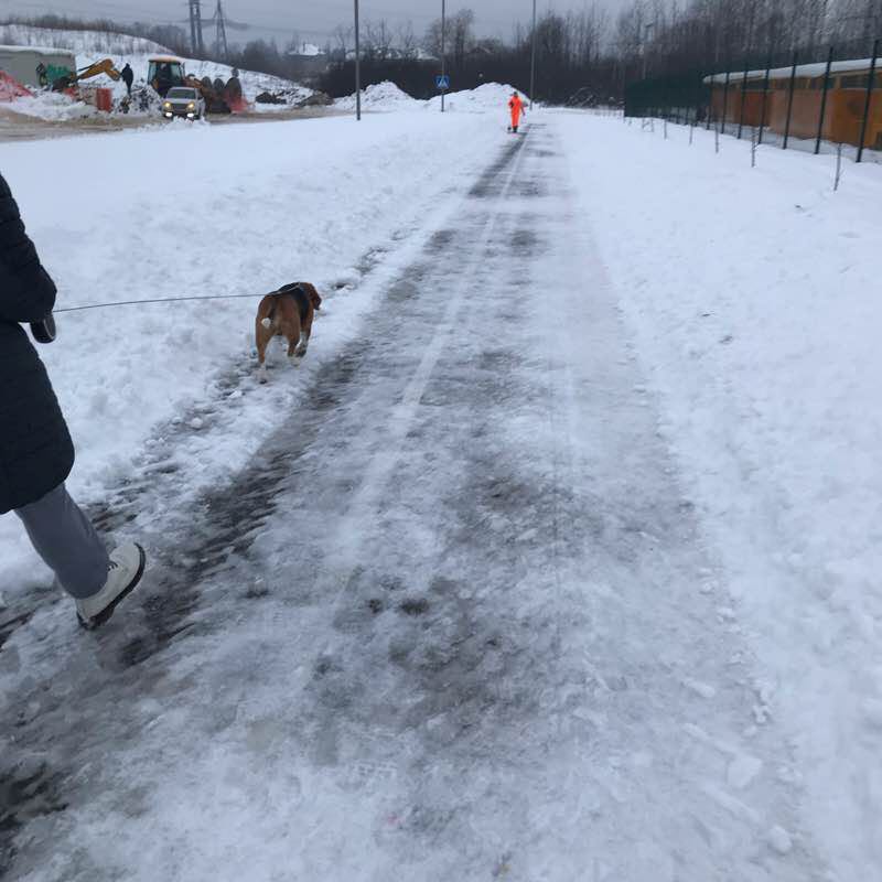 В лесу