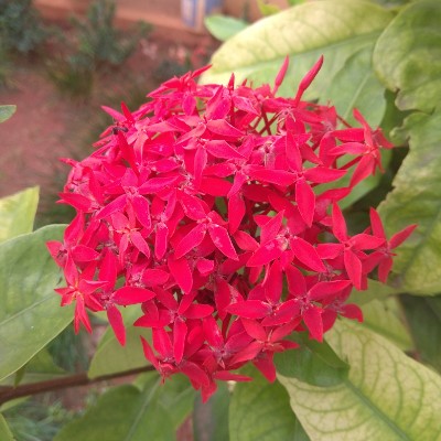 The World 🌎 DODDAIAH . E ಬೆಂಗಳೂರು post image