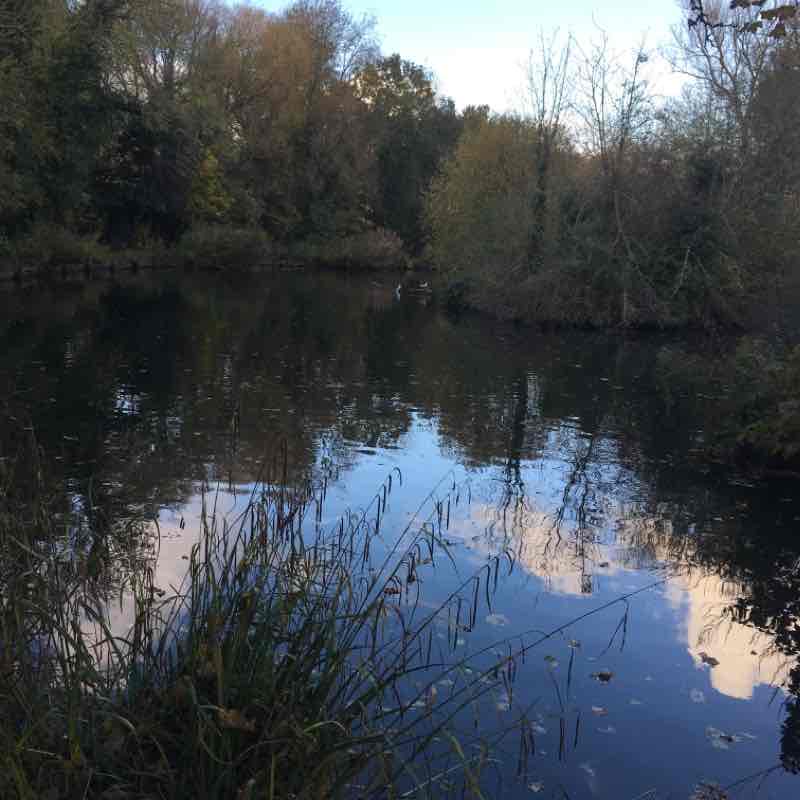 Winchmore Hill to Enfield Town Walk Trail London, England Pacer