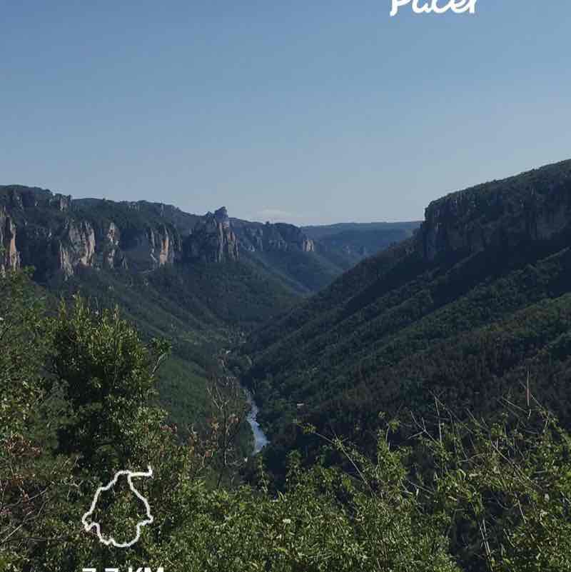 Gorges of Jonte. Cliffs and vultures walking route map in Saint-Pierre-des-Tripiers