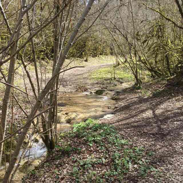 Circuit des Payrol. albus walking route map in Albas