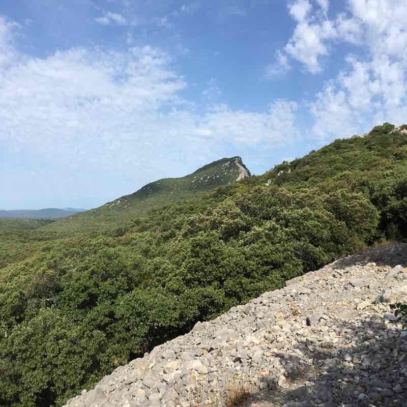 Pic Saint Loup by the castle of Monferrand walking route map in Saint-Mathieu-de-Tréviers