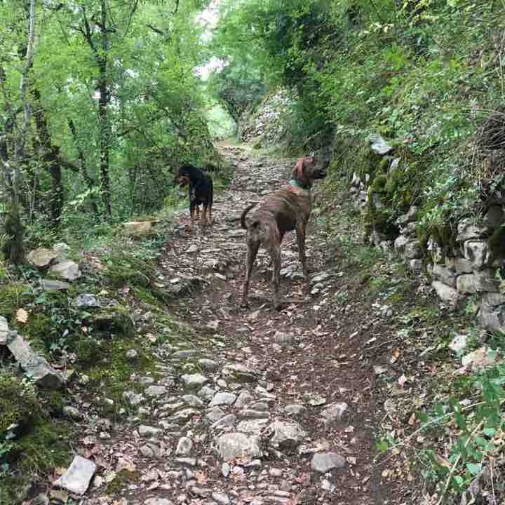 The suquets of Penne walking route map in Penne