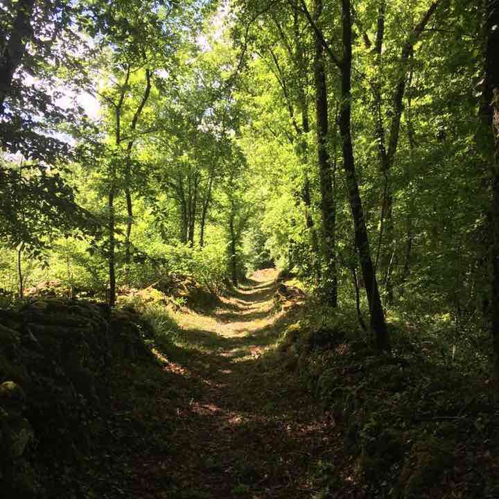Montcabrier walking route map in Montcabrier