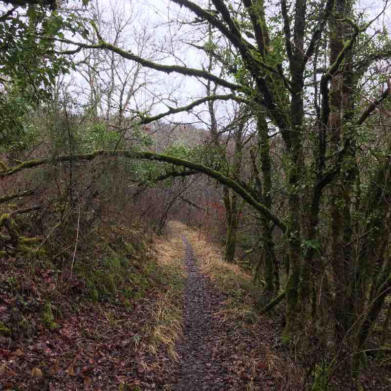 Around the castle of Roussillon walking route map in Maxou