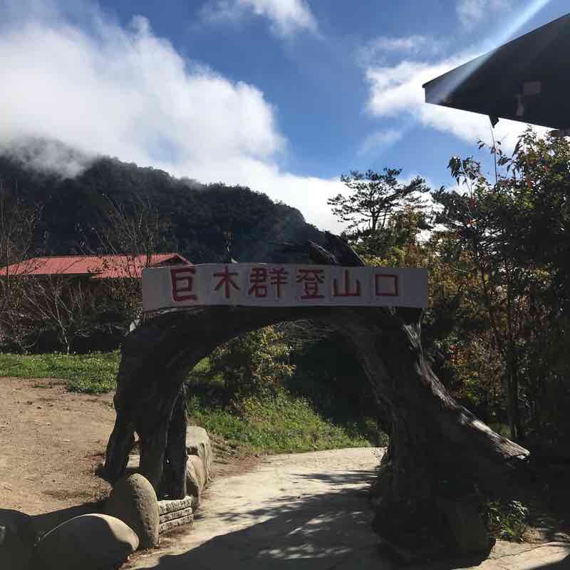 司馬庫斯巨木步道