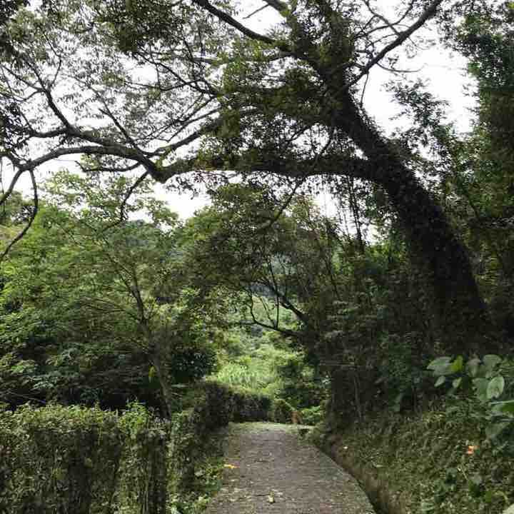 打鐡寮古道＋白石山