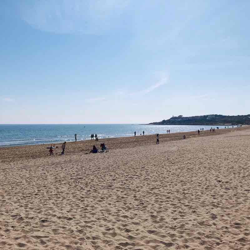 Muchavista and San Juan Beach. Alicante walking route map in El Campello