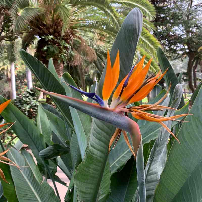 Прогулка....