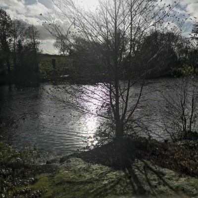 soniaharrison post 3