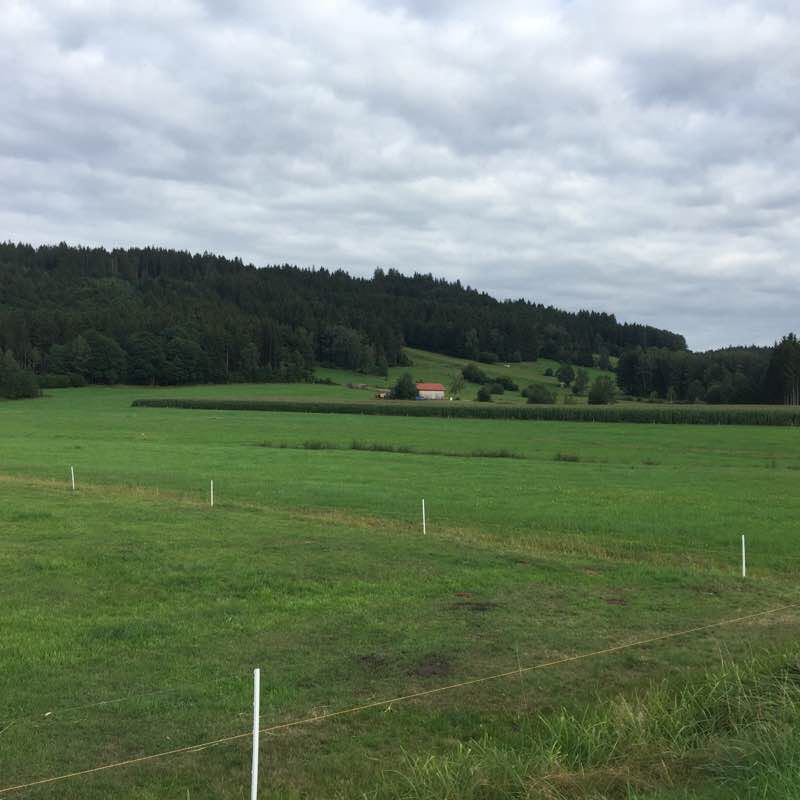 Round Bärzell walking route map in Zwiesel