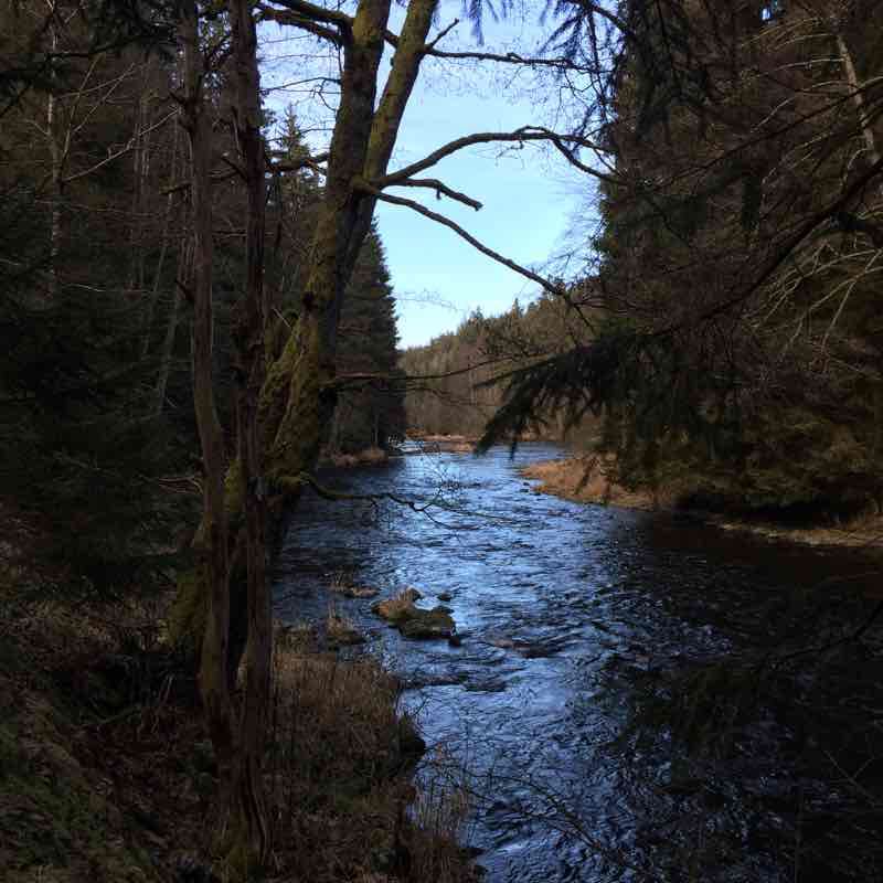 River hike from Zwiesel after rain walking route map in Zwiesel